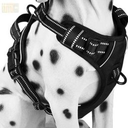 Pet Factory wholesale Amazon Ebay Wish hot large mesh dog harness 109-0001 gmtpet.ltd