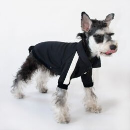 Sport Pet Clothes Custom Fashion Dog BomberJacket Blank Dog Clothes gmtpet.ltd