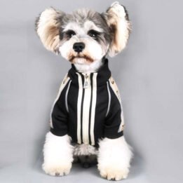 2020 Dog Coat Spring Autumn Pet Clothing Small Designer Dog Clothes gmtpet.ltd