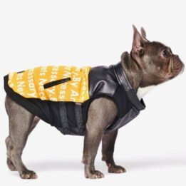 Pet Dog Clothes Vest Padded Dog Jacket Cotton Clothing for Winter gmtpet.ltd