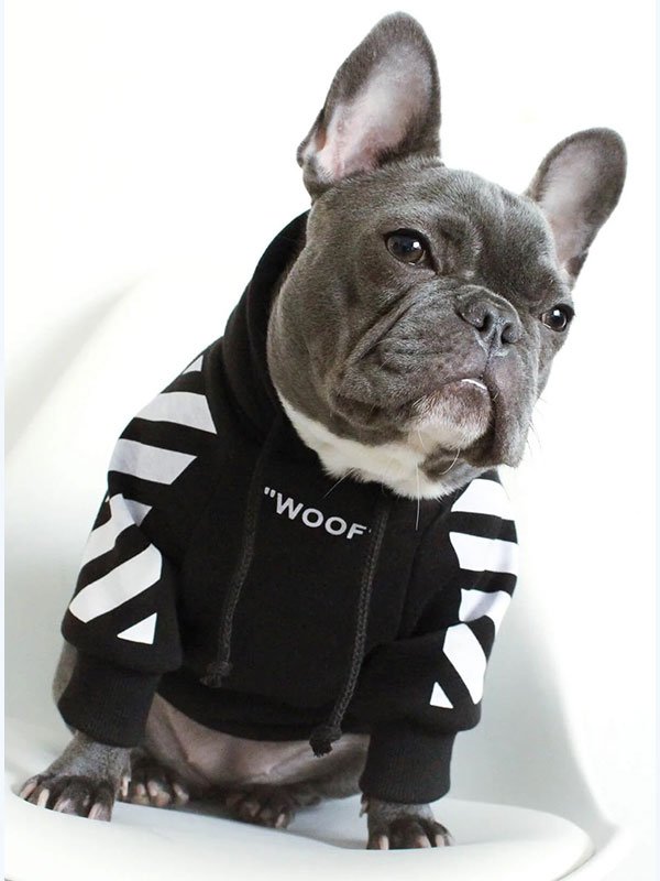Роскошная одежда для домашних животных, теплая толстовка с капюшоном, модная зимняя дизайнерская одежда для собак на заказ, 06-1396 gmtpet.ltd