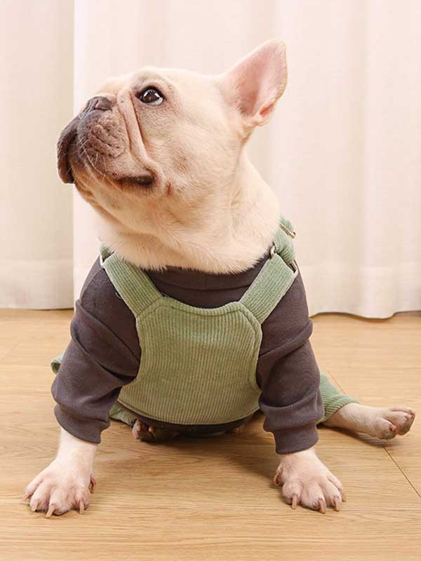 GMTPET French fighting clothes high elastic comfortable solid color plus velvet thick bottoming shirt T-shirt bulldog dog clothes 107-222016 www.gmtpet.ltd