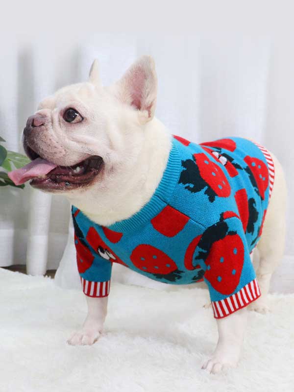 New autumn and winter dog clothes bulldog sweater strawberry cartoon short body fat dog method fighting autumn sweater 107-222041 www.gmtpet.ltd