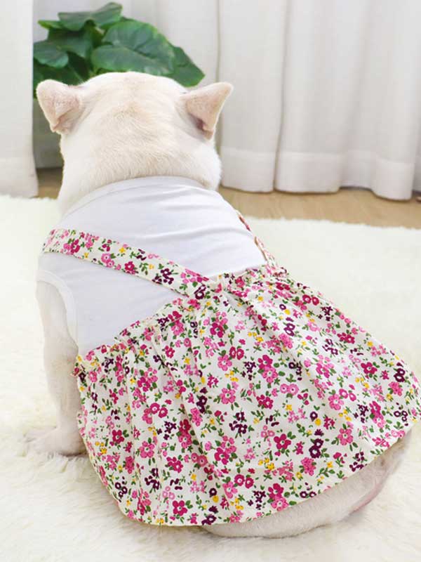 Ropa para perros y mascotas Camisa de fondo Camiseta Ropa de algodón Vestido 107-222043 gmtpet.ltd