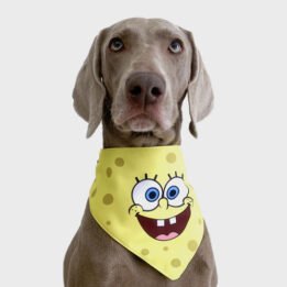 New Product Yellow Cartoon Cute Duck triangle scarf Pet Saliva Towel gmtpet.ltd