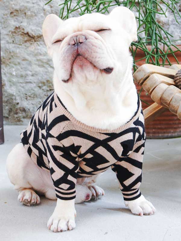 Оптовый поставщик одежды для домашних животных Роскошный вязаный свитер для собак Теплая зимняя одежда для собак 06-1392 gmtpet.ltd