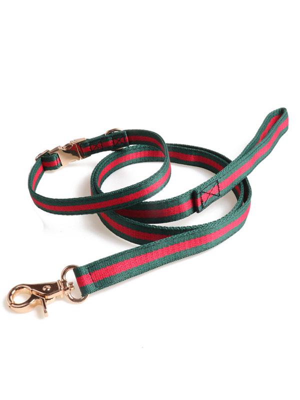 Factory Wholesale Pet Collar Nylon Webbing Dog Leash Rope Dog Collar Heavy Duty Dog Leash With Full Metal Buckle 06-1608 gmtpet.ltd