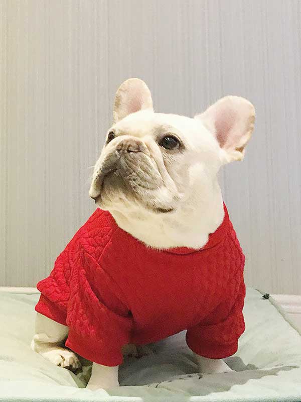 GMTPET Wholesale French Fighting Clothes Pug Fat Dog Autumn and Winter Thickened Solid Color Sweater Pullover Pet Dog Sweater 107-222005